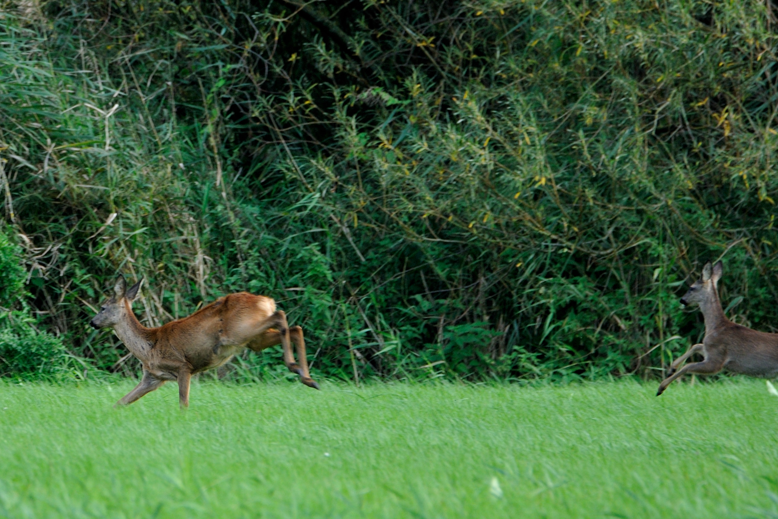 Allgemeine Infos — Campingplatz Juliusplate